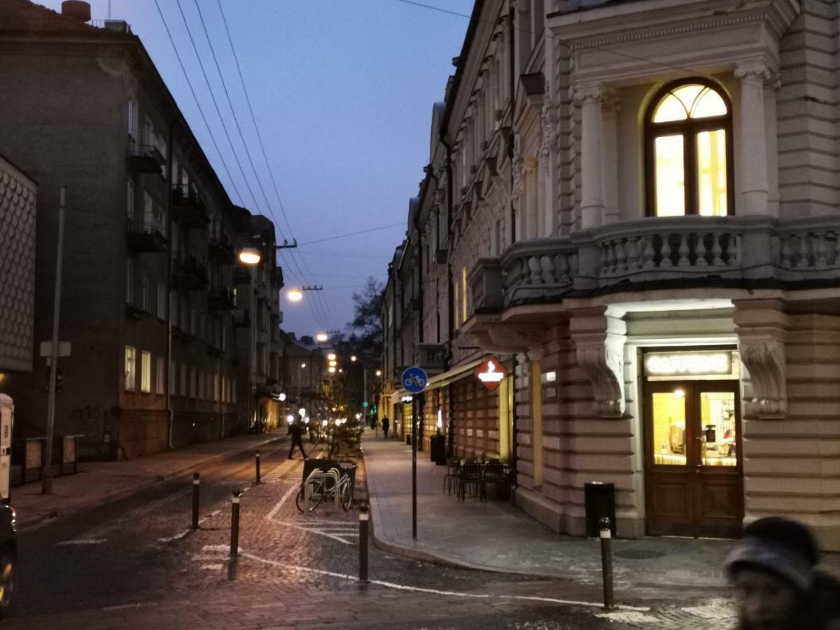 Center Apartment, Vilnius, Old Town Екстер'єр фото
